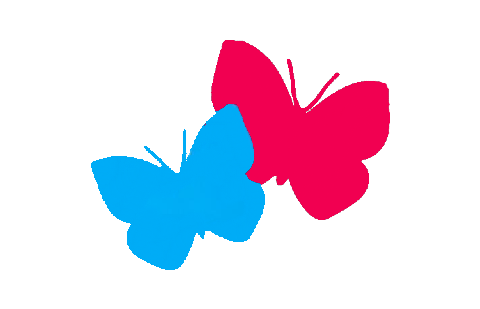 Rhys Daniels Logo